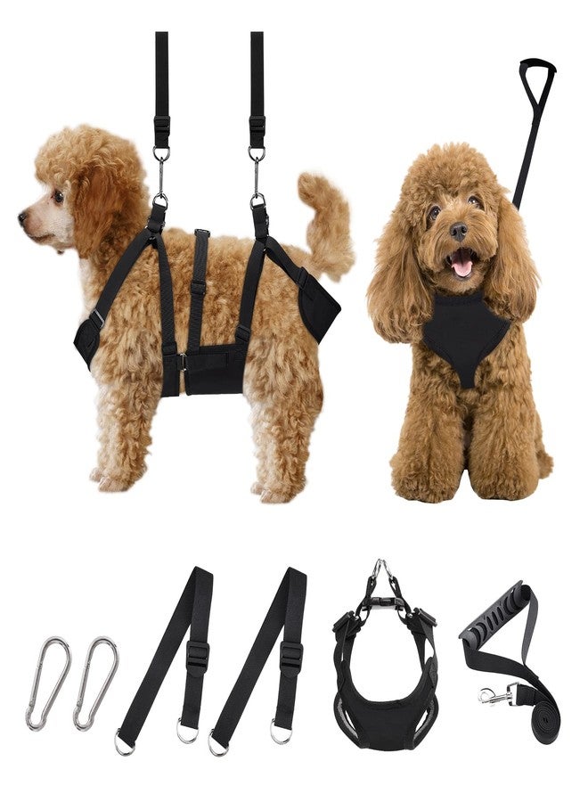 Mypin 2 in 1 Pet Grooming Hammock with No-Pull Harness, Disassembles into Leash, Adjustable Loop/Leash, Stainless Hooks, Small Size for Cat/Dog - Image 1